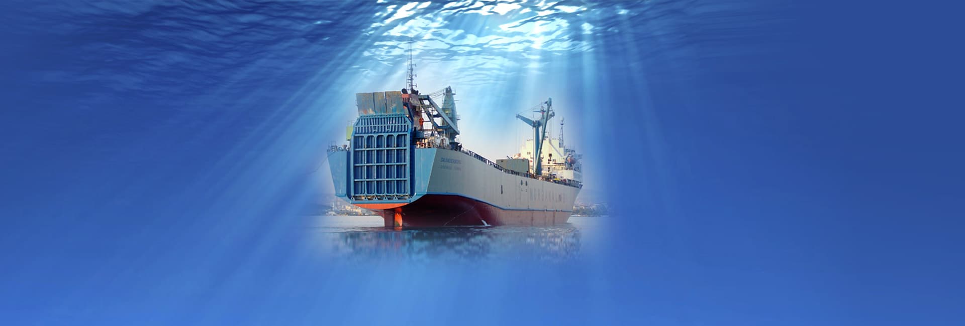 MSS Marine Service, yüzer-kuru havuzlar, gemi onarımları ve dönüşümleri konusunda uzun yıllar özel deneyimler kazanmış mühendisler tarafından kurulmuştur.